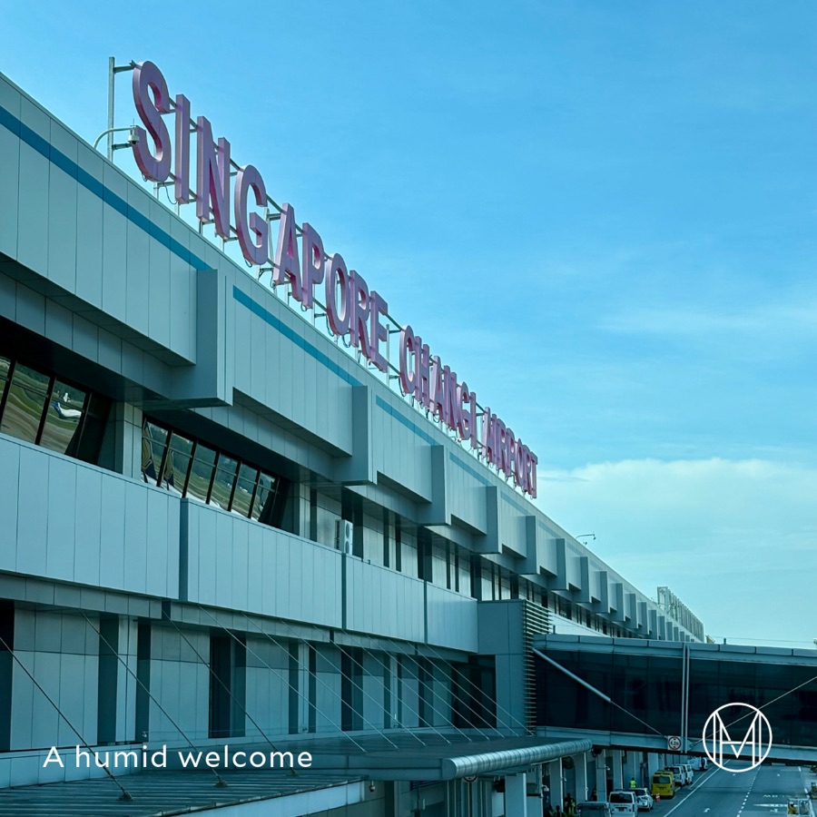 Arrival in the Lion City – Singapore, slide 3