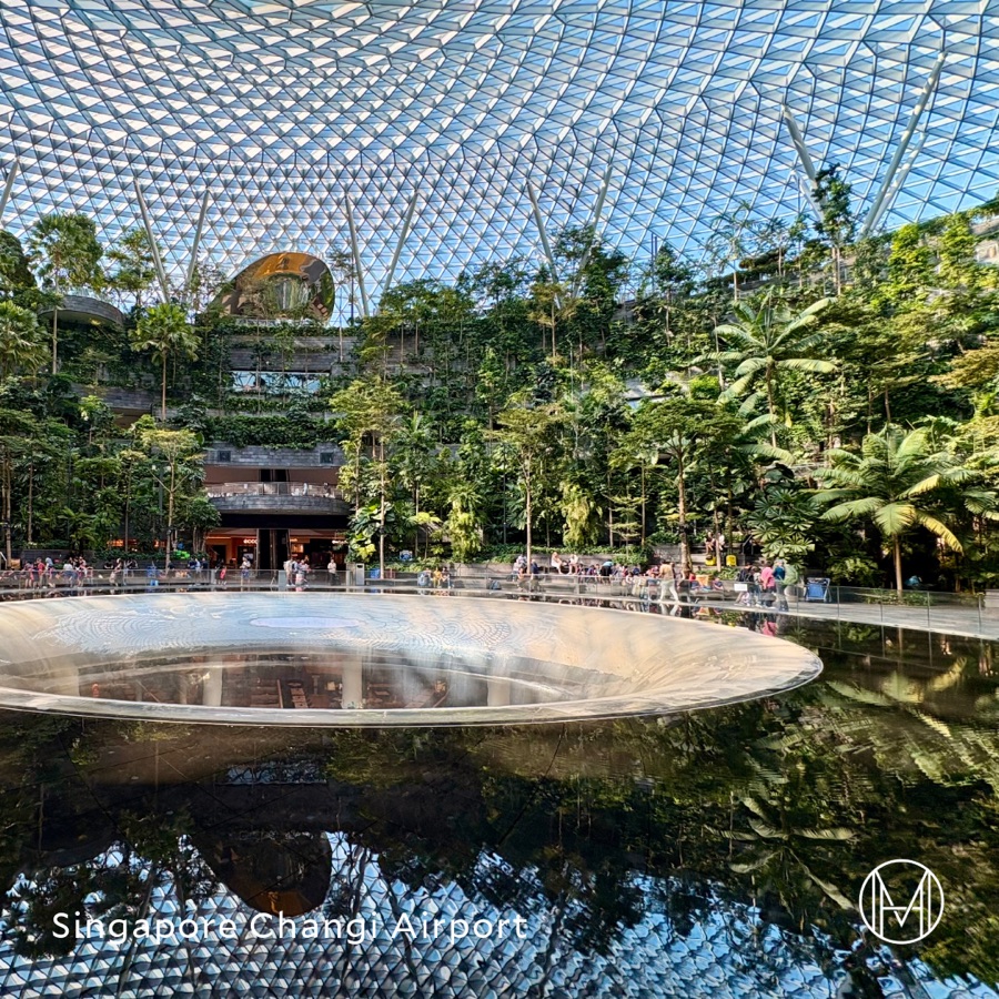 Arrival in the Lion City – Singapore, slide 5