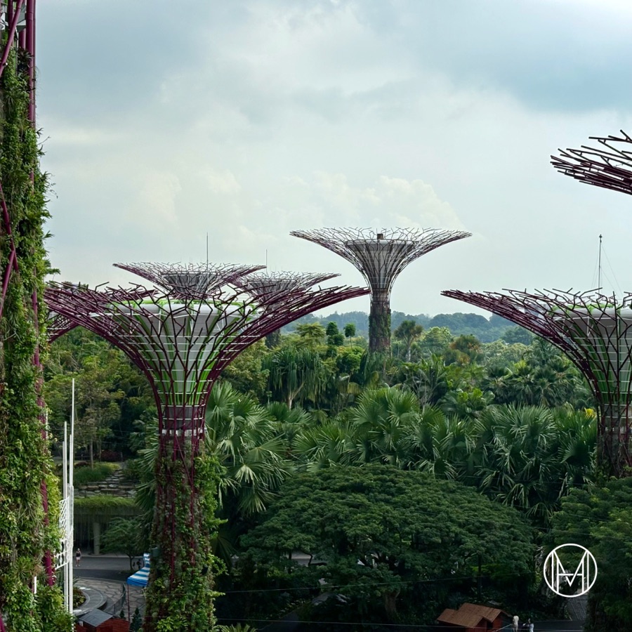 Gardens of the Future: The Supertree Grove, slide 2