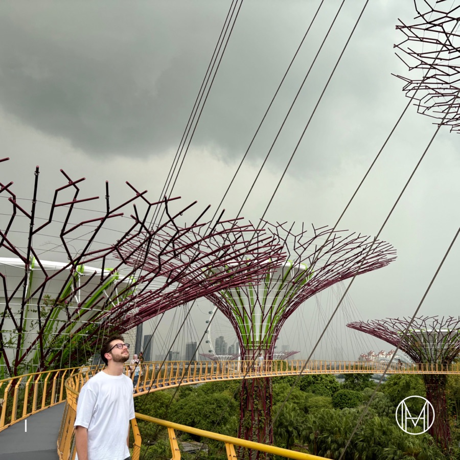 Gardens of the Future: The Supertree Grove, slide 3