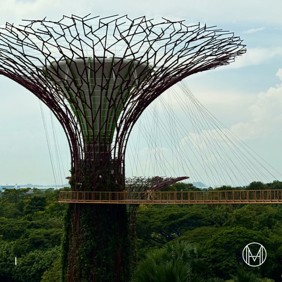 Gardens of the Future: The Supertree Grove, slide 4