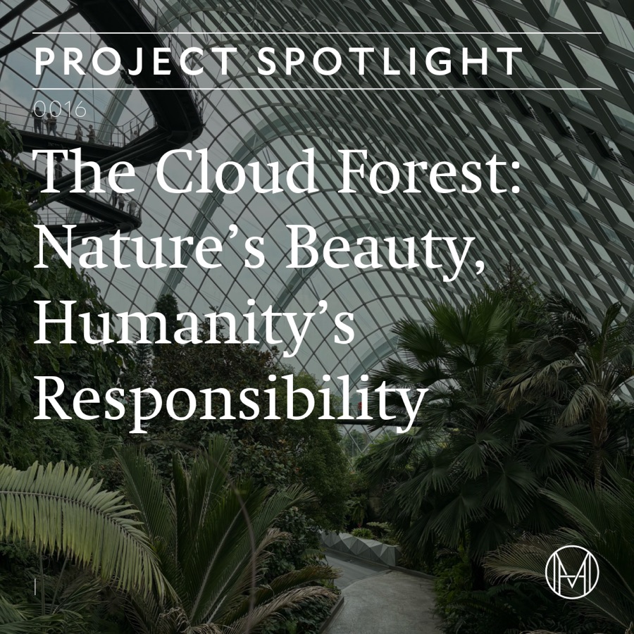 The Cloud Forest: Nature’s Beauty, Humanity’s Responsibility, slide 1