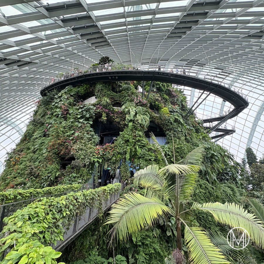 The Cloud Forest: Nature’s Beauty, Humanity’s Responsibility, slide 2
