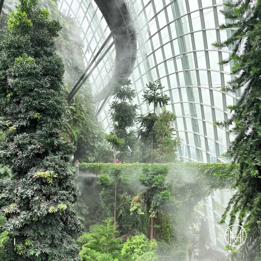 The Cloud Forest: Nature’s Beauty, Humanity’s Responsibility, slide 3