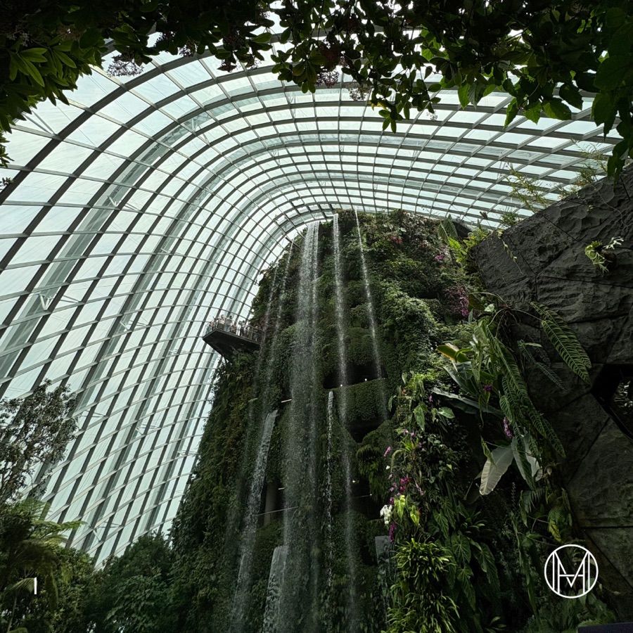 The Cloud Forest: Nature’s Beauty, Humanity’s Responsibility, slide 4